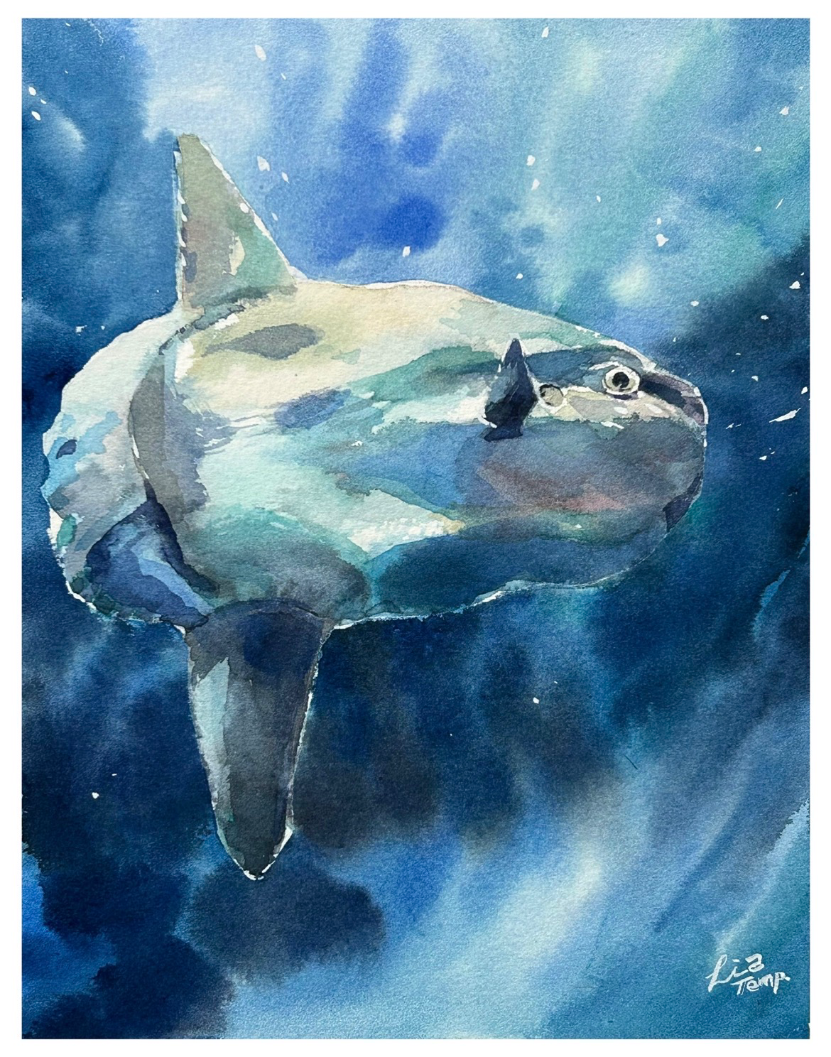 ムラサキのトルコキキョウ — Artmeter™