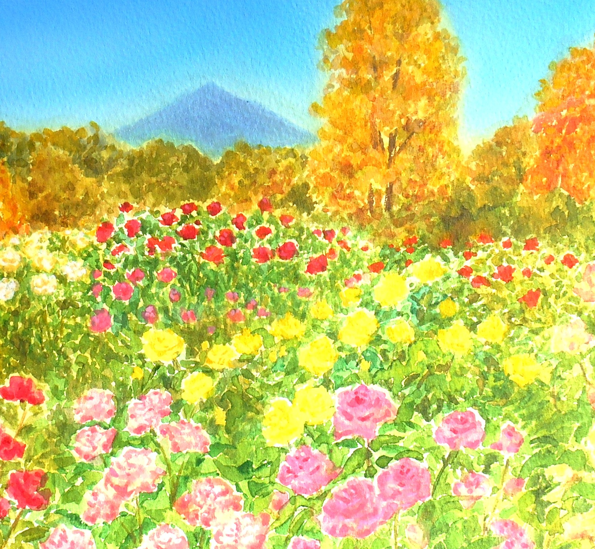 秋の薔薇 — Artmeter™