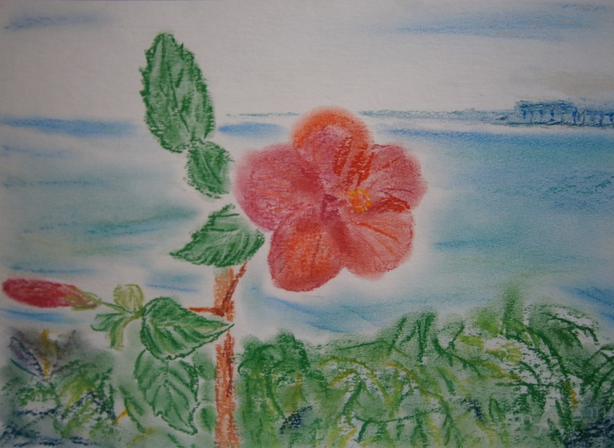 沖縄の海とハイビスカス — Artmeter™
