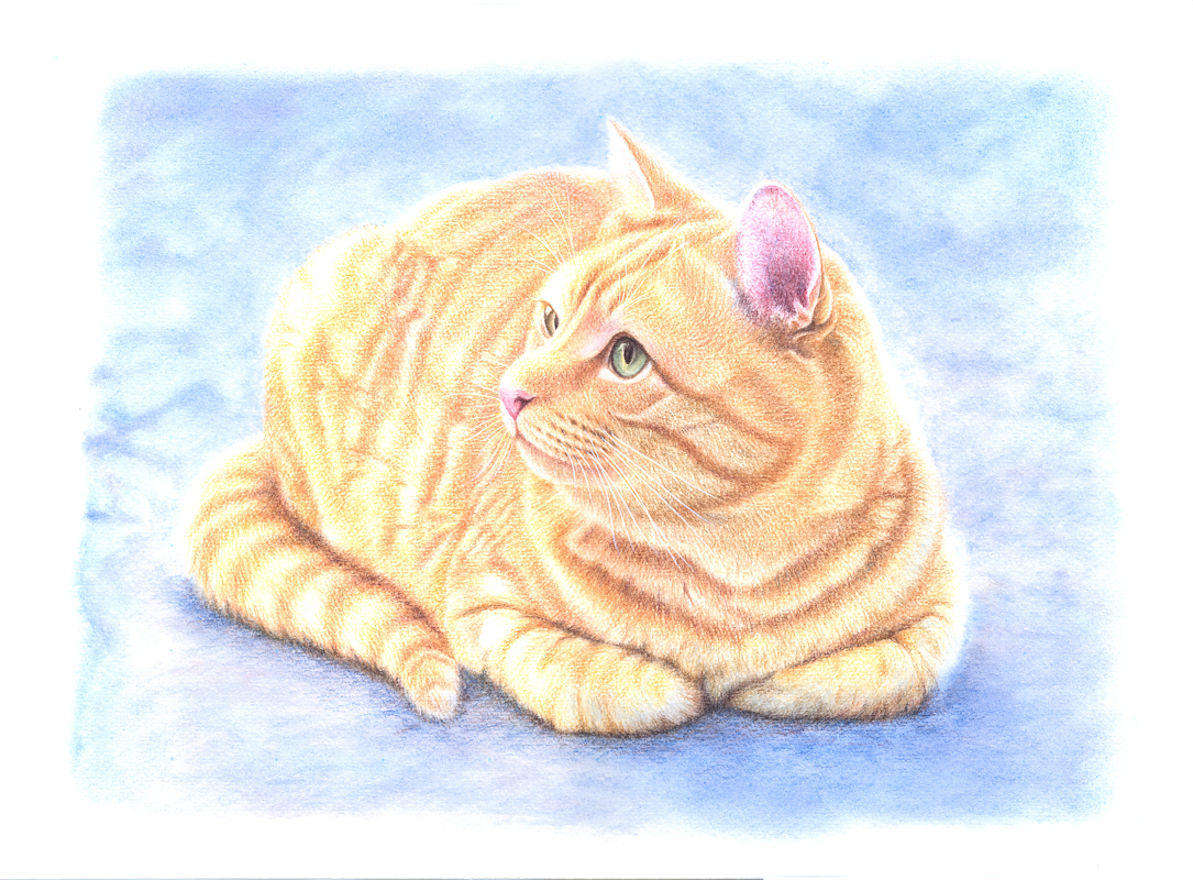 茶トラ猫・1 — Artmeter™