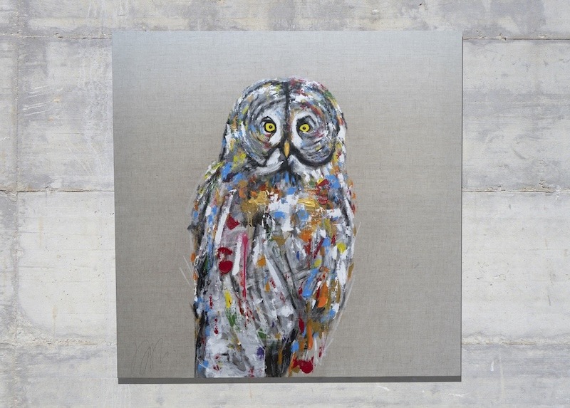 owl / フクロウ — Artmeter™