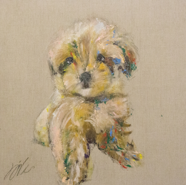 Poodle / プードル — Artmeter™