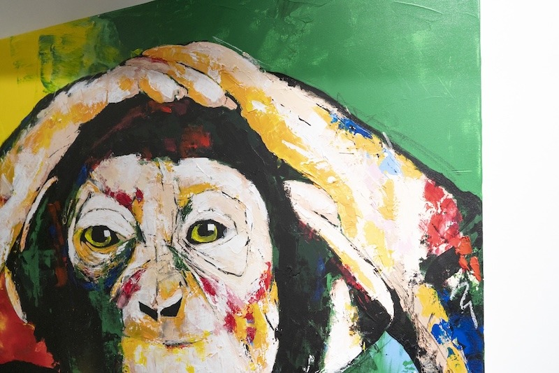 Monkey — Artmeter™