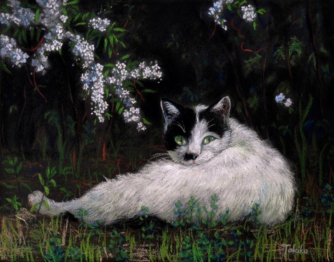 絵画 。原画☆【美しい花畑にきれいな花を植えたかわいいシャム猫】 絵画 。原画☆【美しい花畑にきれいな花を植えたかわいいシャム猫】