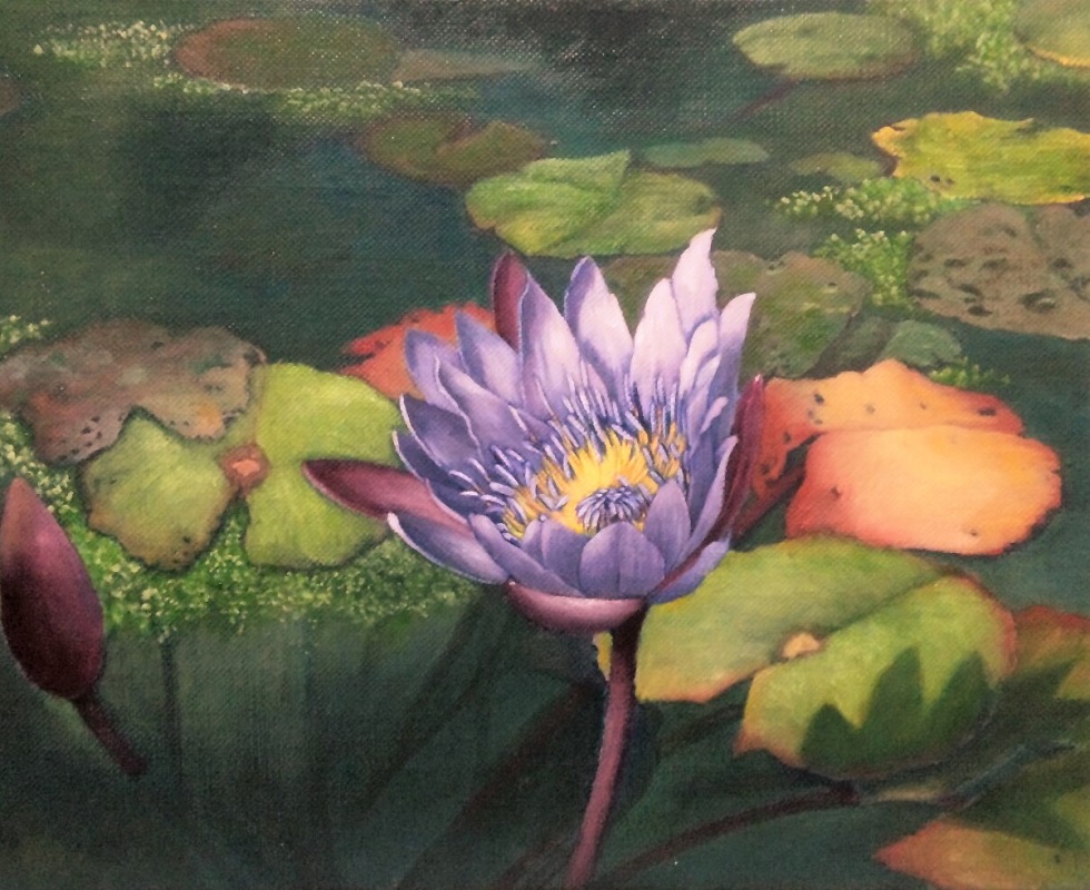 睡蓮の池 — Artmeter™
