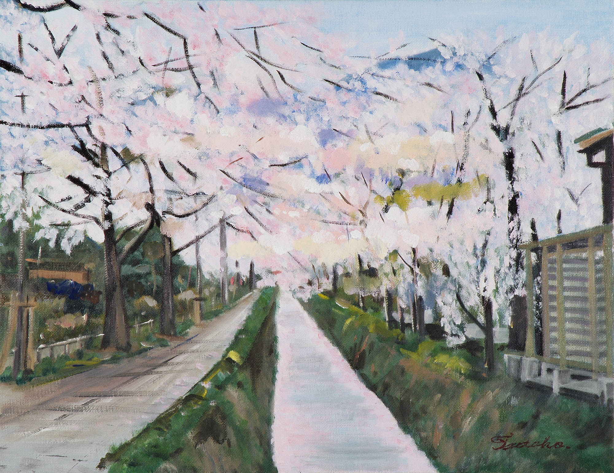 京都哲学の道‐桜 — Artmeter™