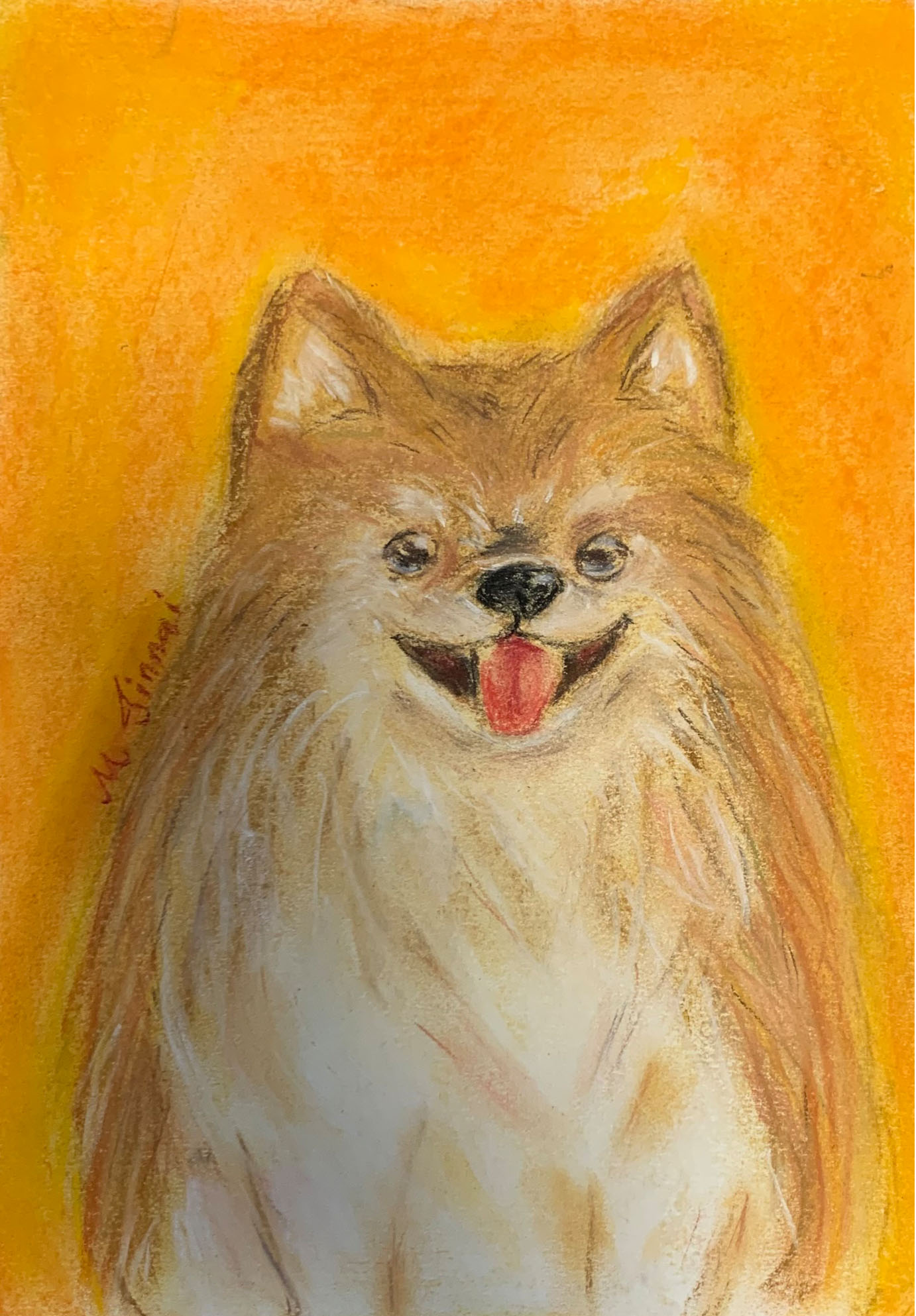 ポメラニアン — Artmeter™