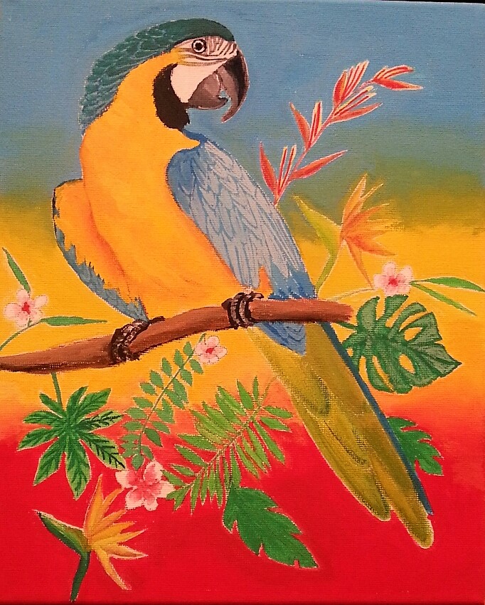 コンゴーインコ 絵画 ルリコンゴウインコ — Artmeter™