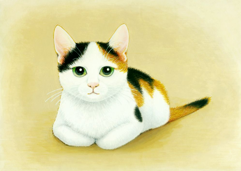 三毛猫 — Artmeter™