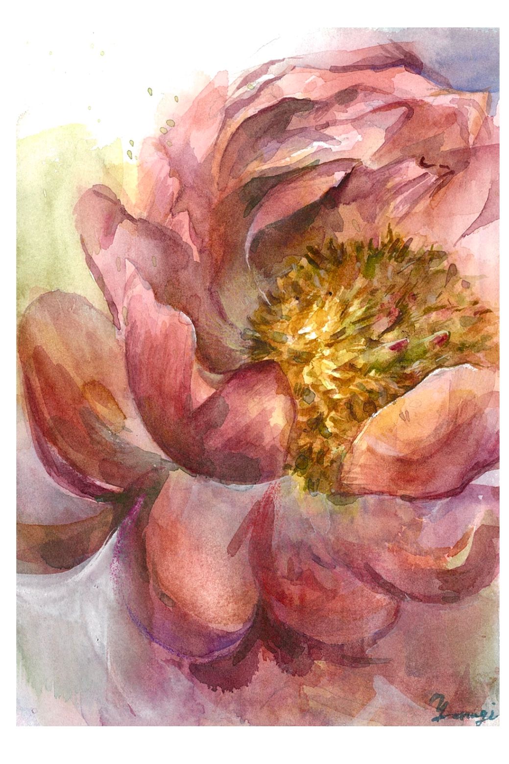 牡丹の花 — Artmeter™