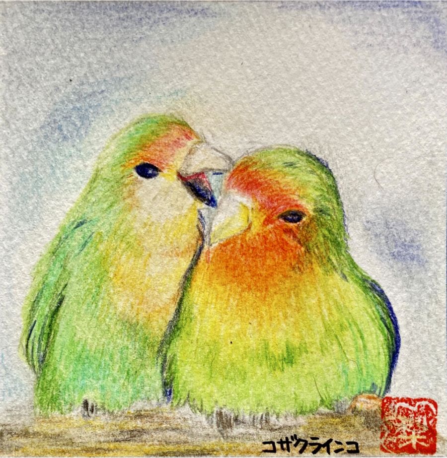 コザクラインコ — Artmeter™