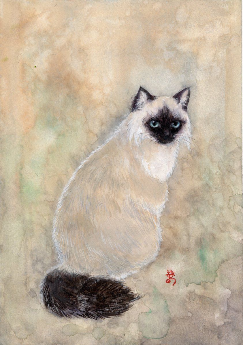 シャム猫1 — Artmeter™
