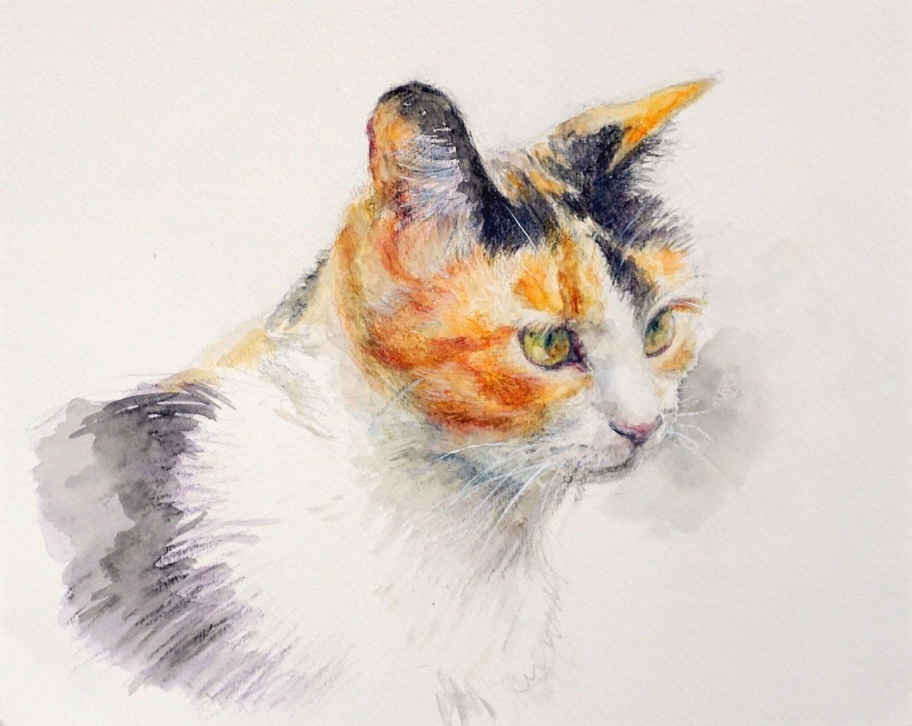 三毛猫 — Artmeter™