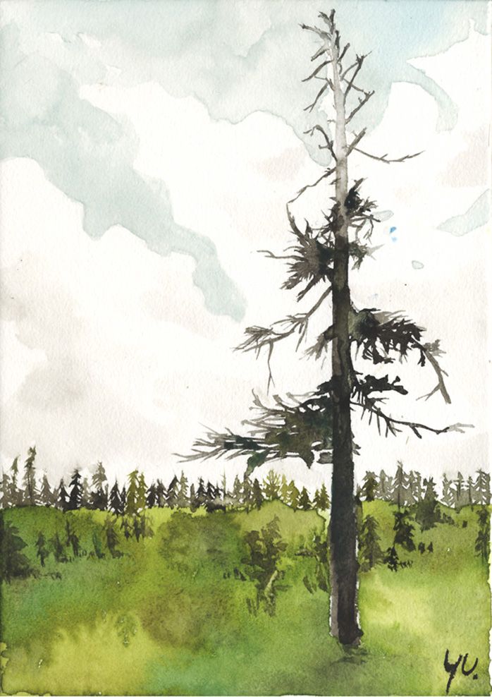 tree2 — Artmeter™