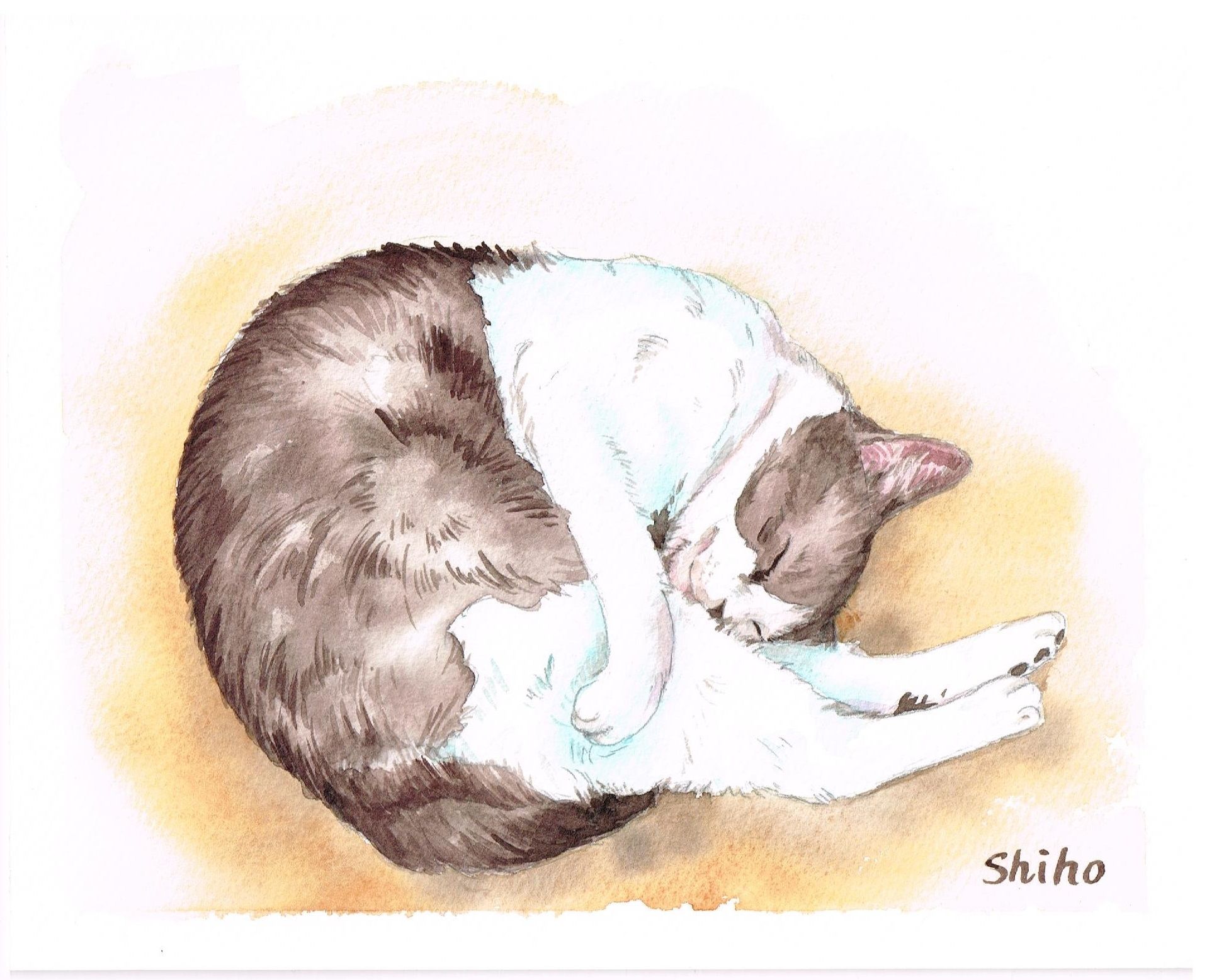 眠り猫 — Artmeter™