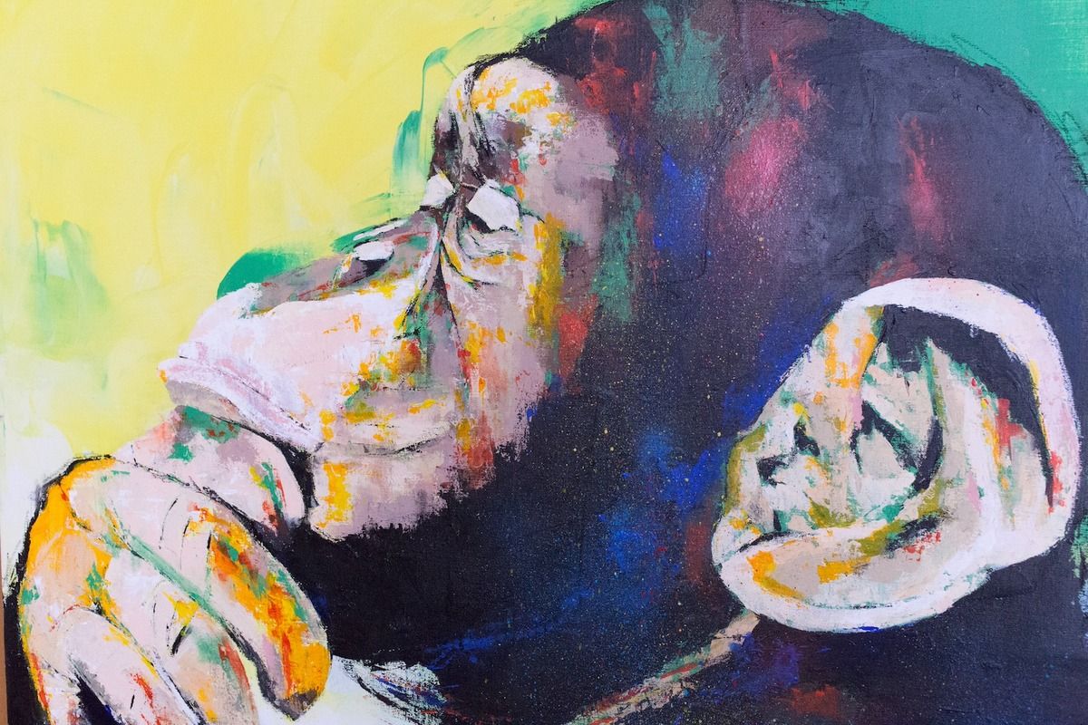 Monkey — Artmeter™
