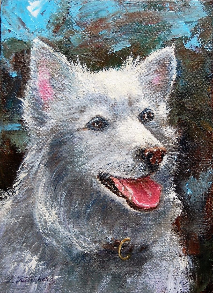 白い犬 — Artmeter™