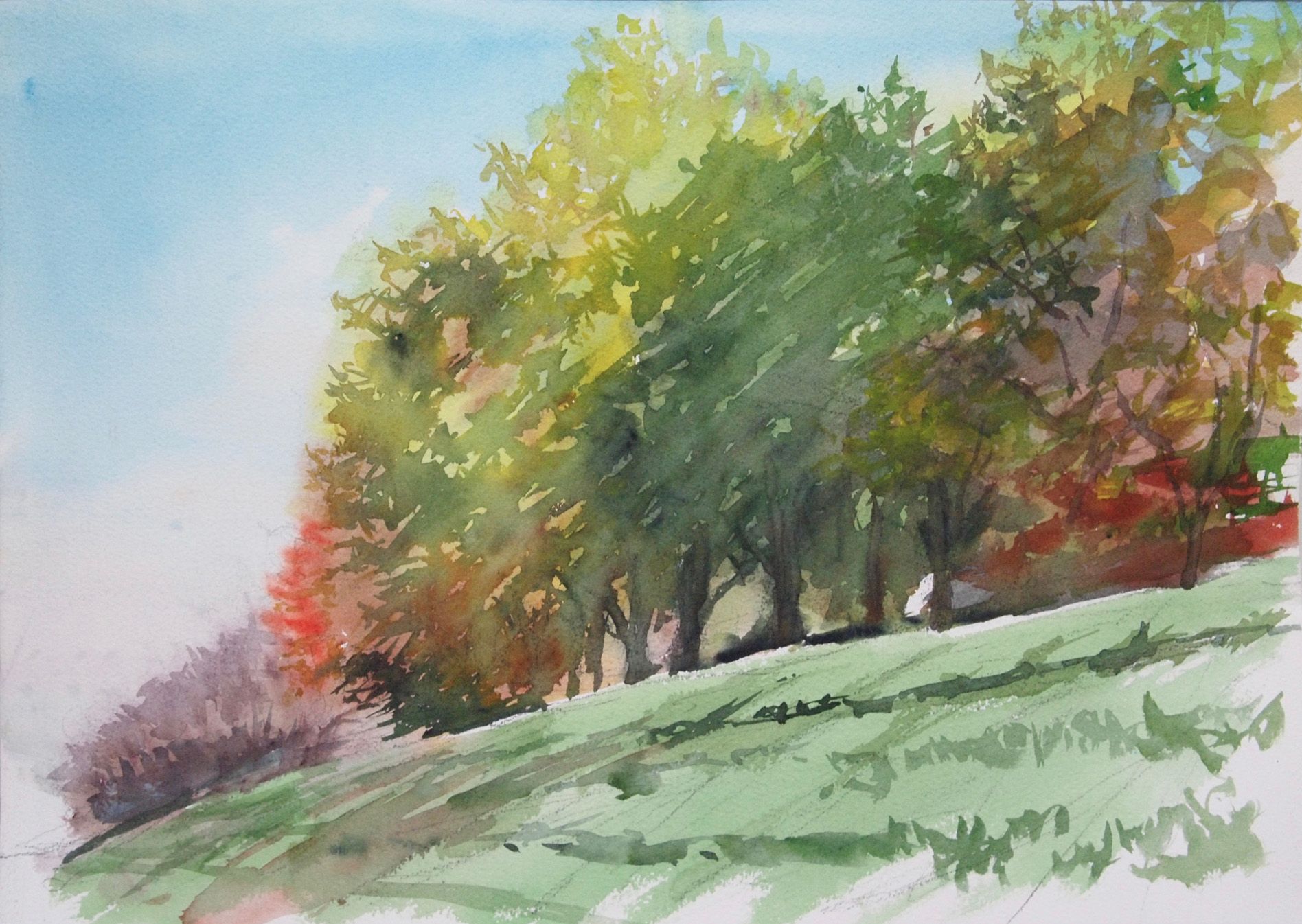 朝の河川敷・紅葉 — Artmeter™