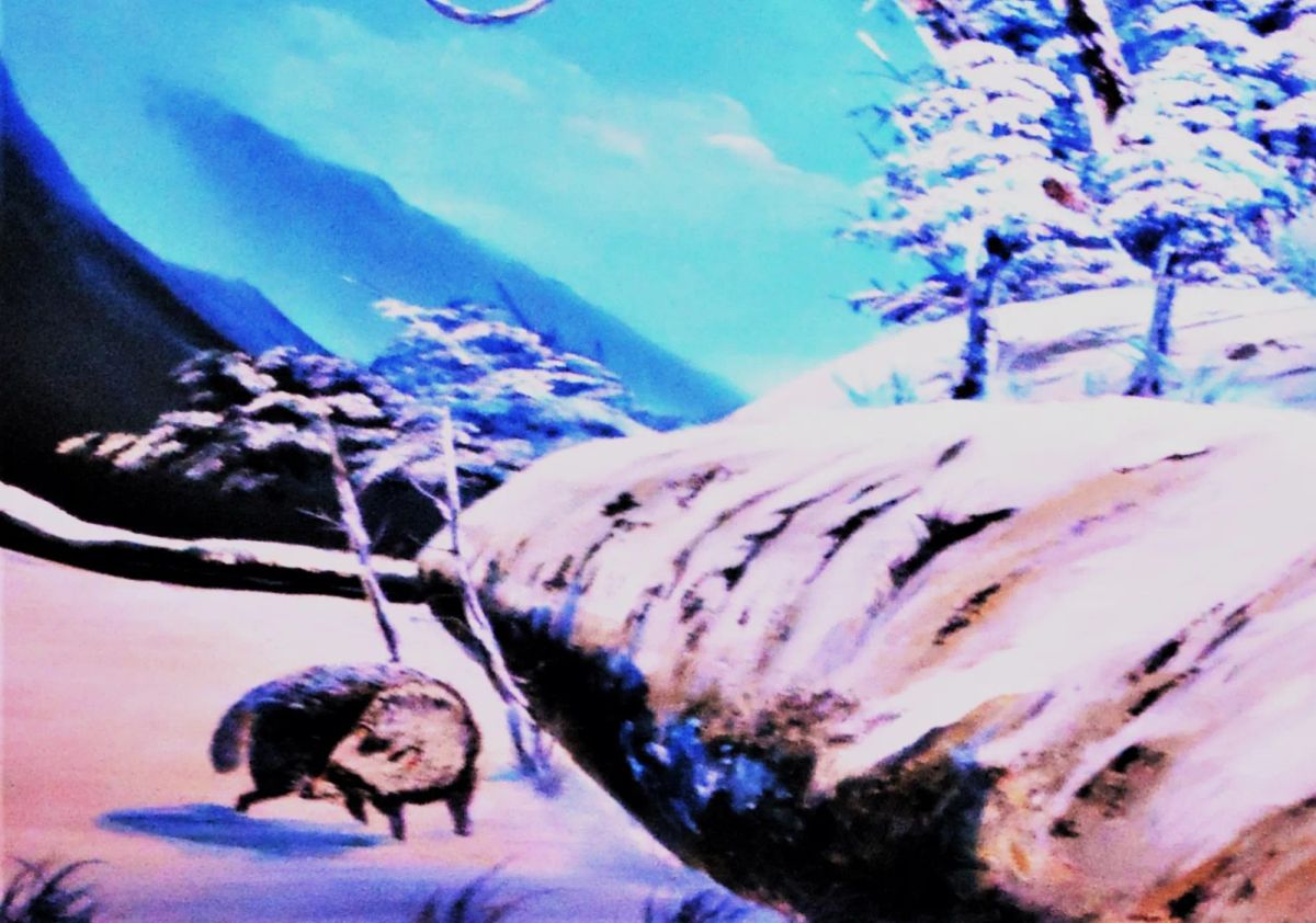 幻想・雪国9 — Artmeter™