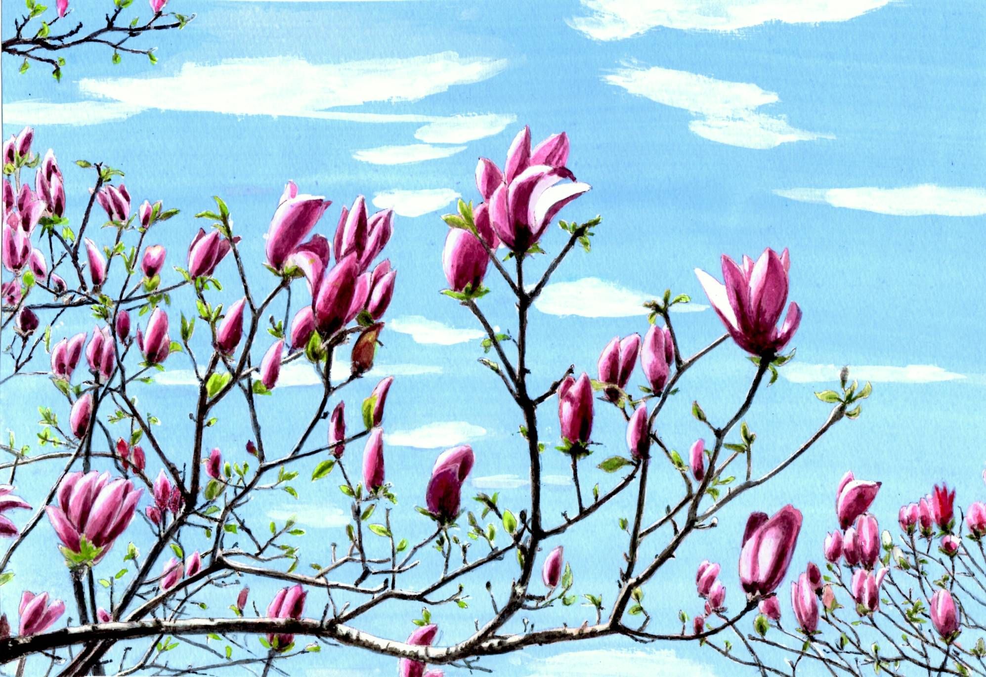 紫木蓮 — Artmeter™