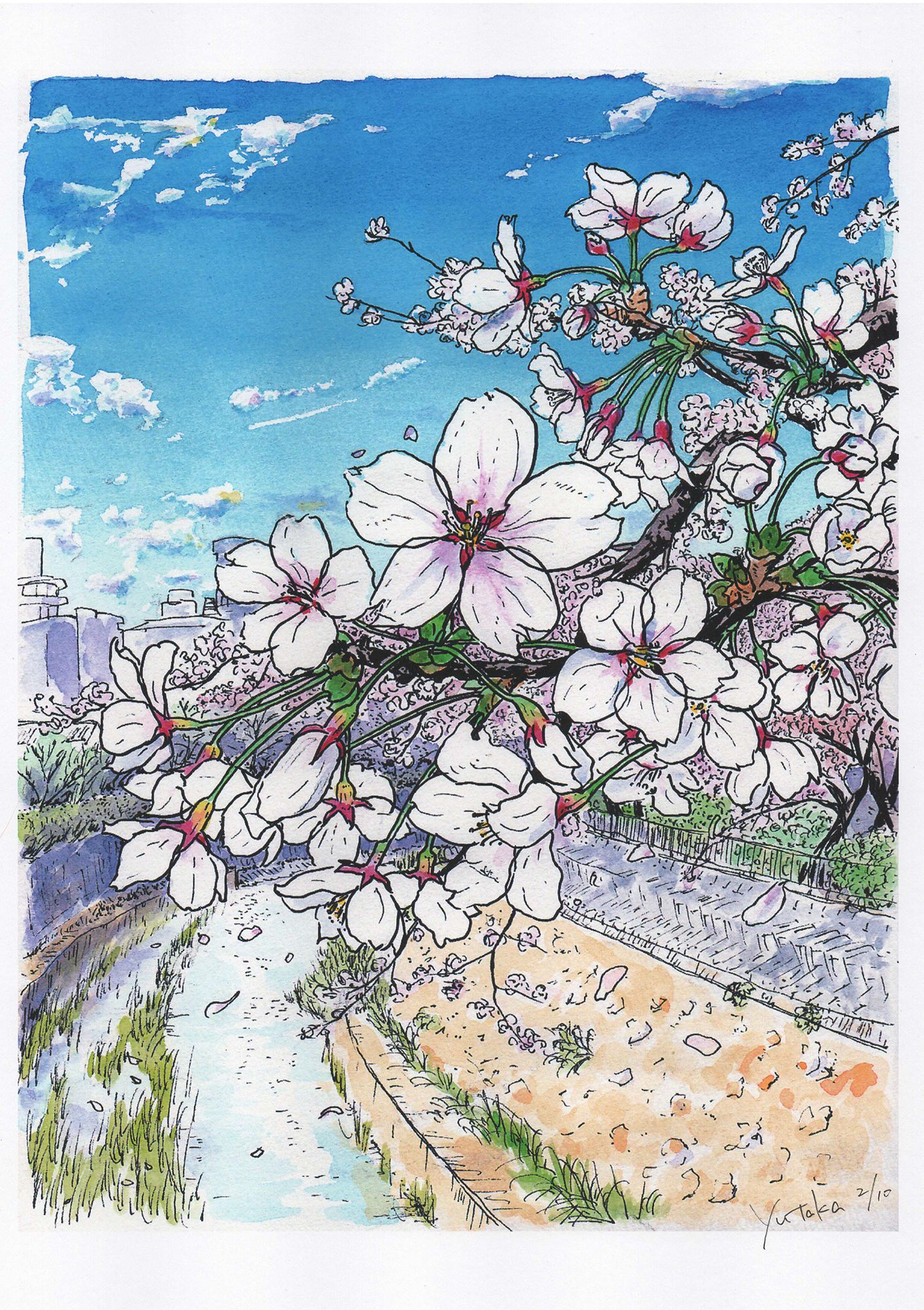 アールグラージュ　桜　アート　絵が変わります 桜 (2/10) — Artmeter™